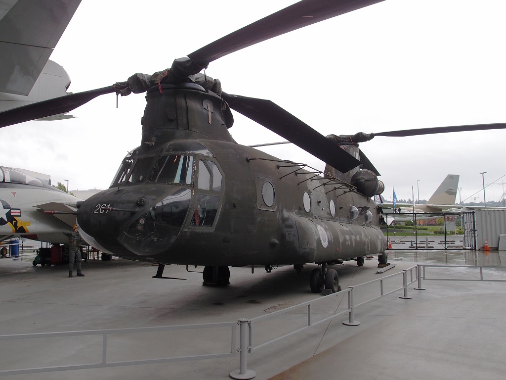 img00012.jpg