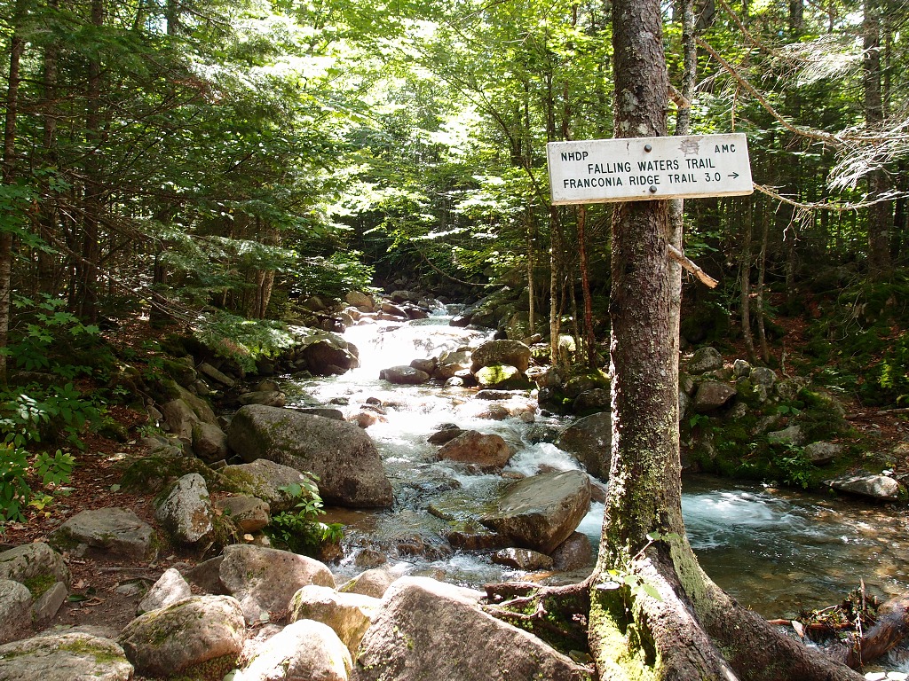 img00002.jpg