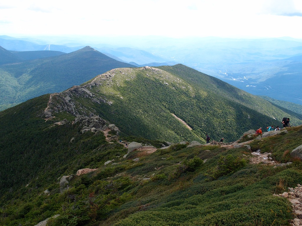 img00017.jpg