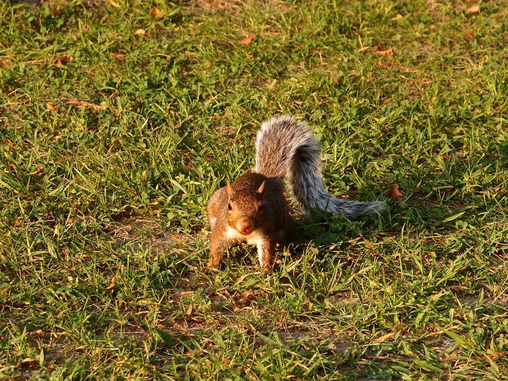 img00019.jpg