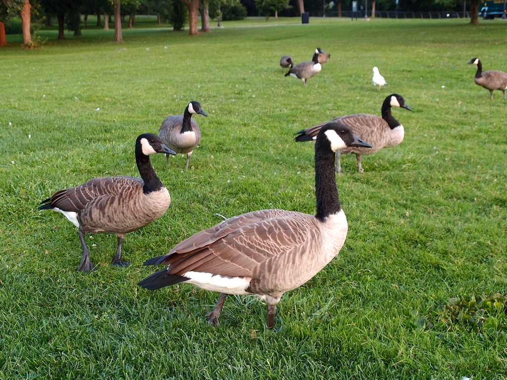 img00021.jpg