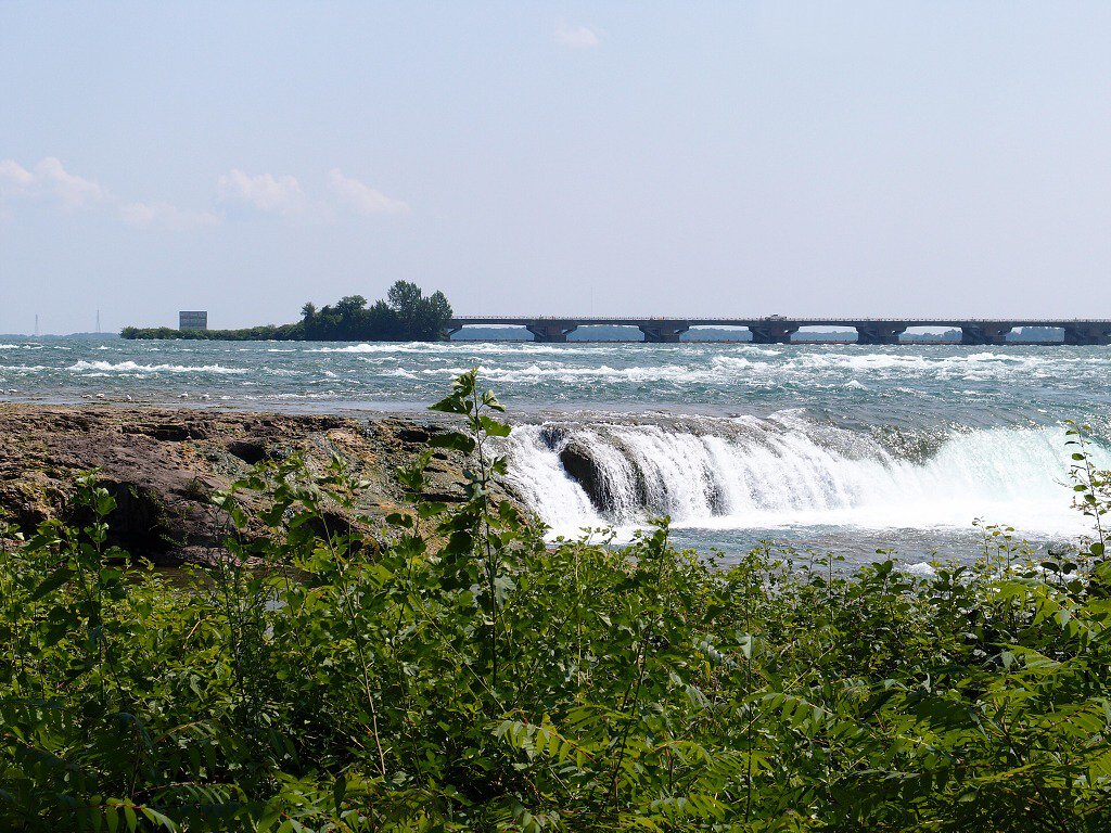 img00007.jpg
