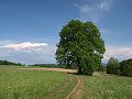 thn_P5109425z.jpg