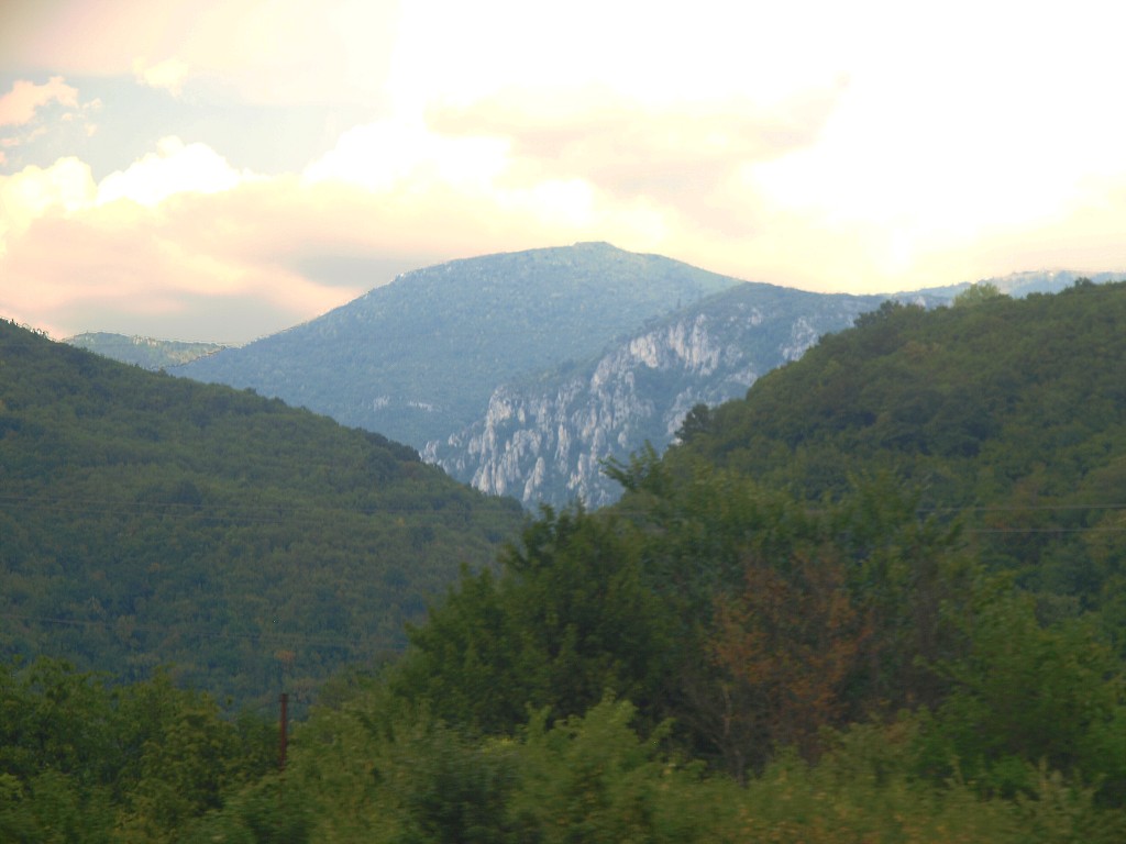 img00007.jpg