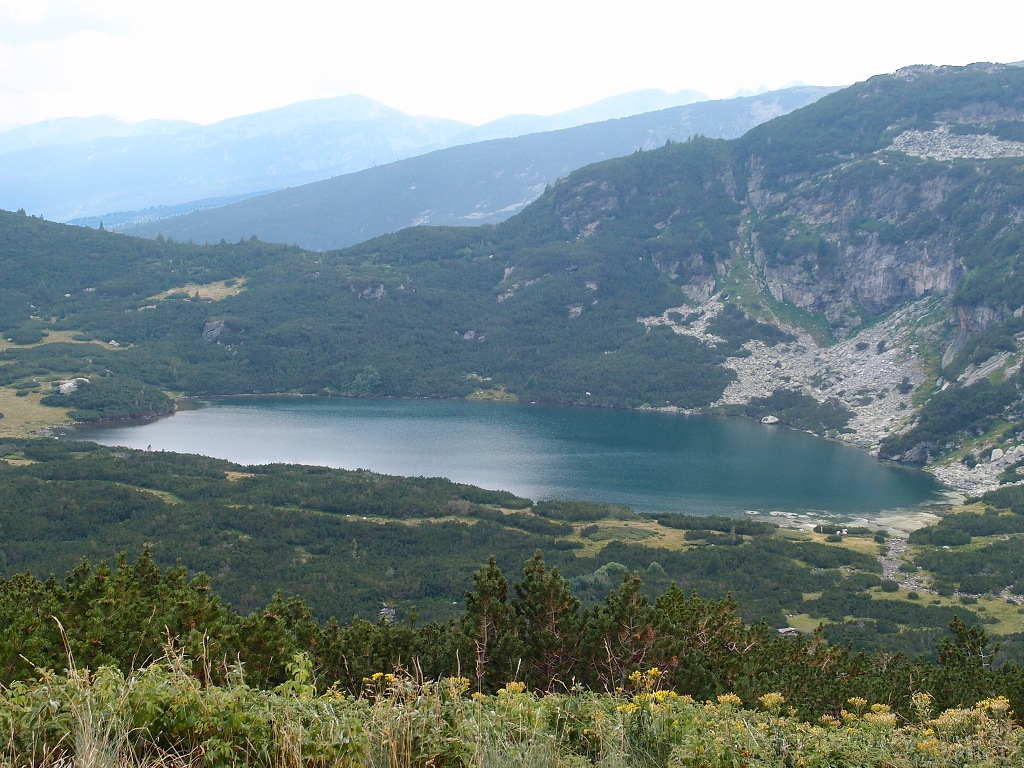 img00004.jpg