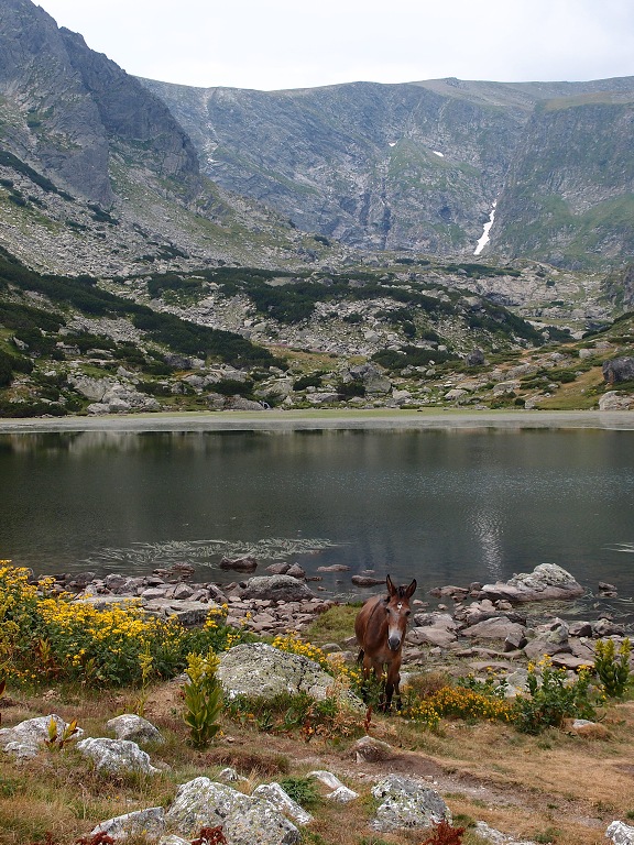img00005.jpg