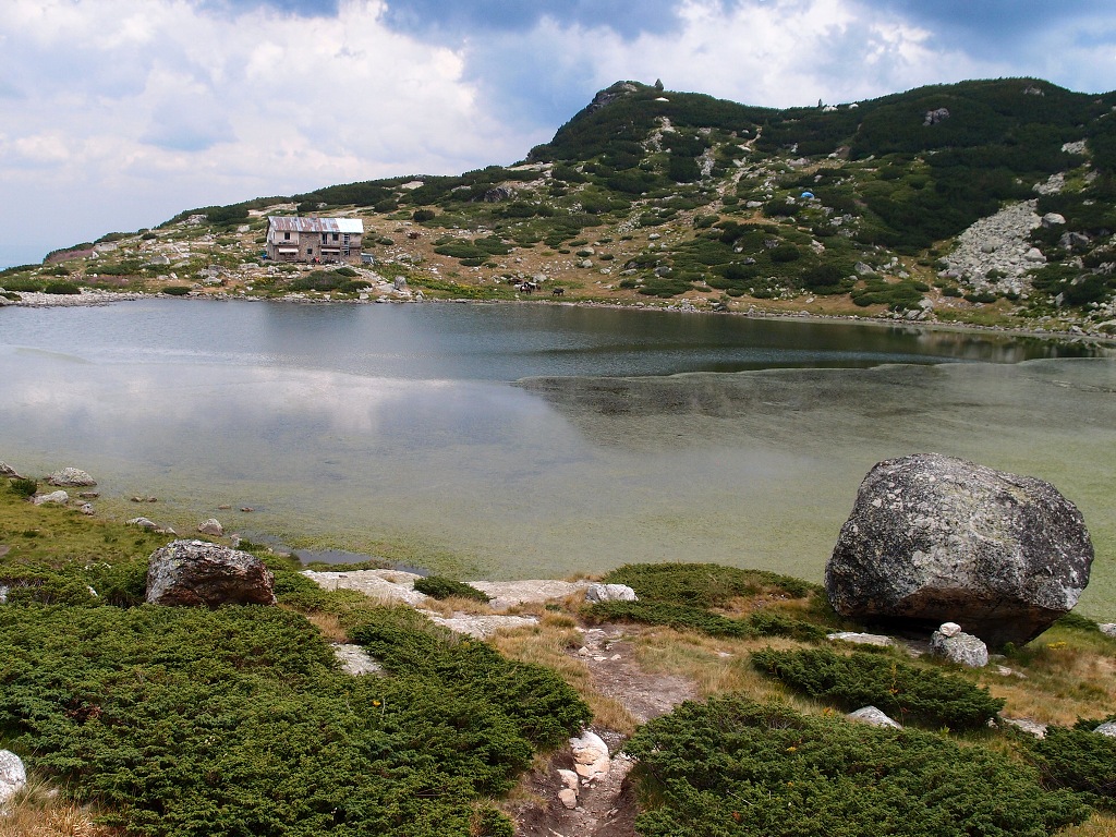 img00006.jpg