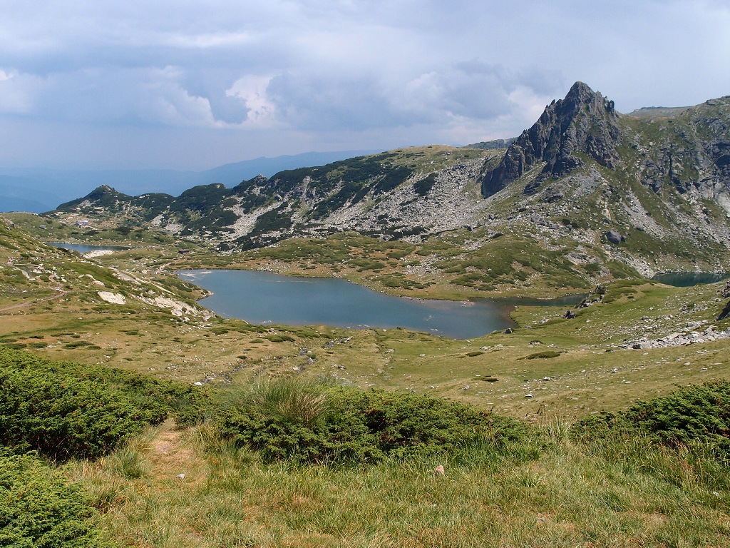 img00009.jpg