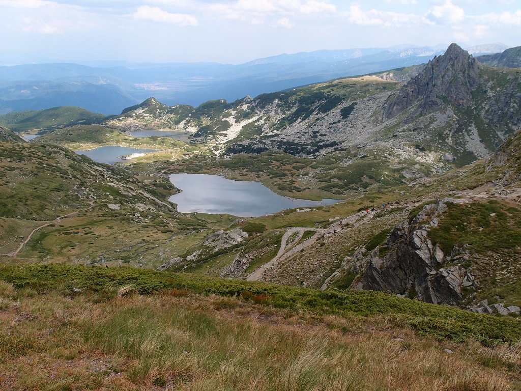 img00011.jpg