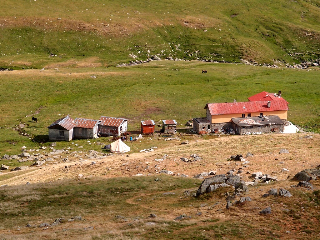 img00019.jpg