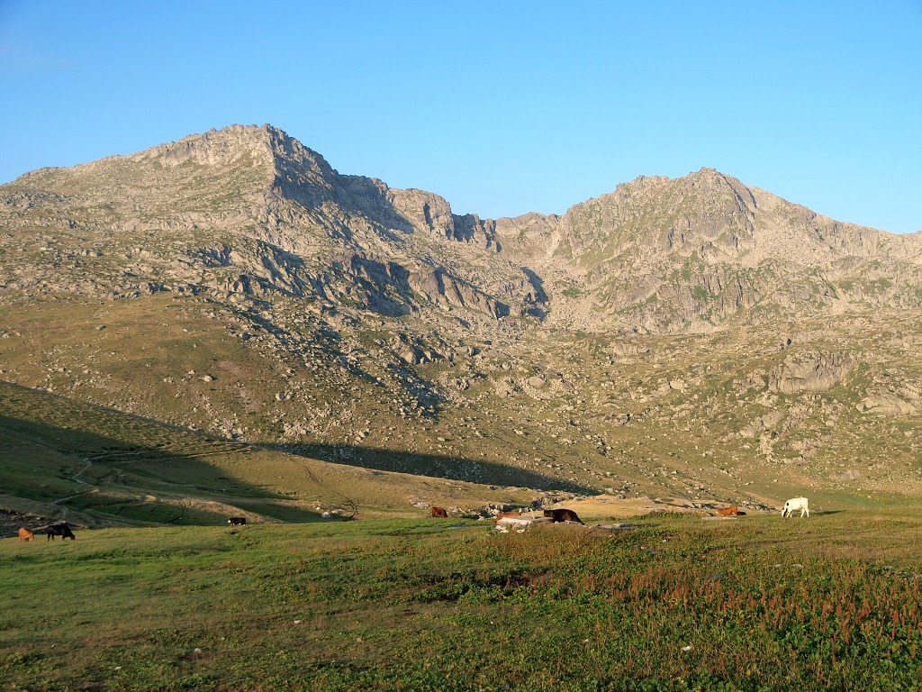 img00001.jpg
