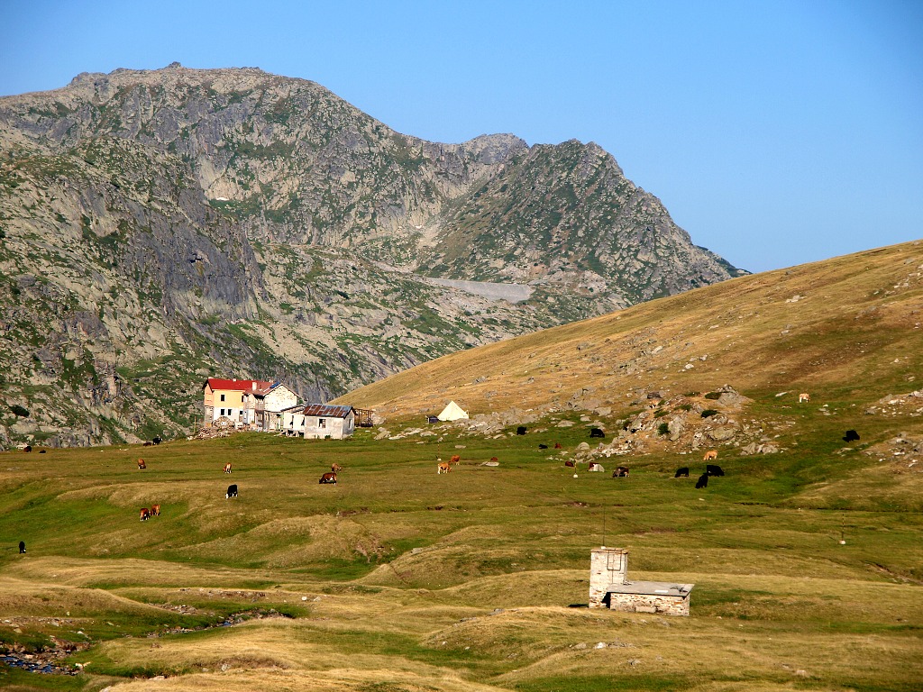 img00002.jpg