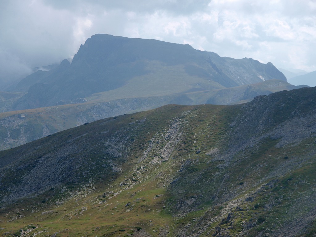 img00012.jpg