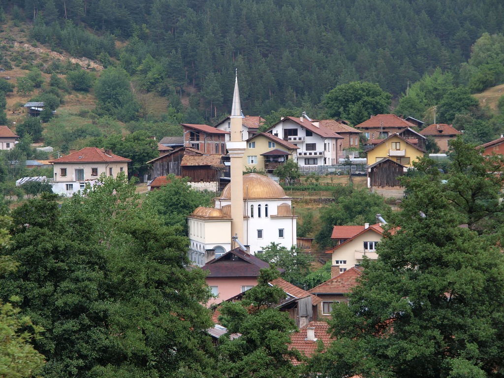 img00020.jpg