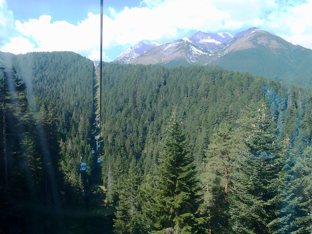 img00004.jpg