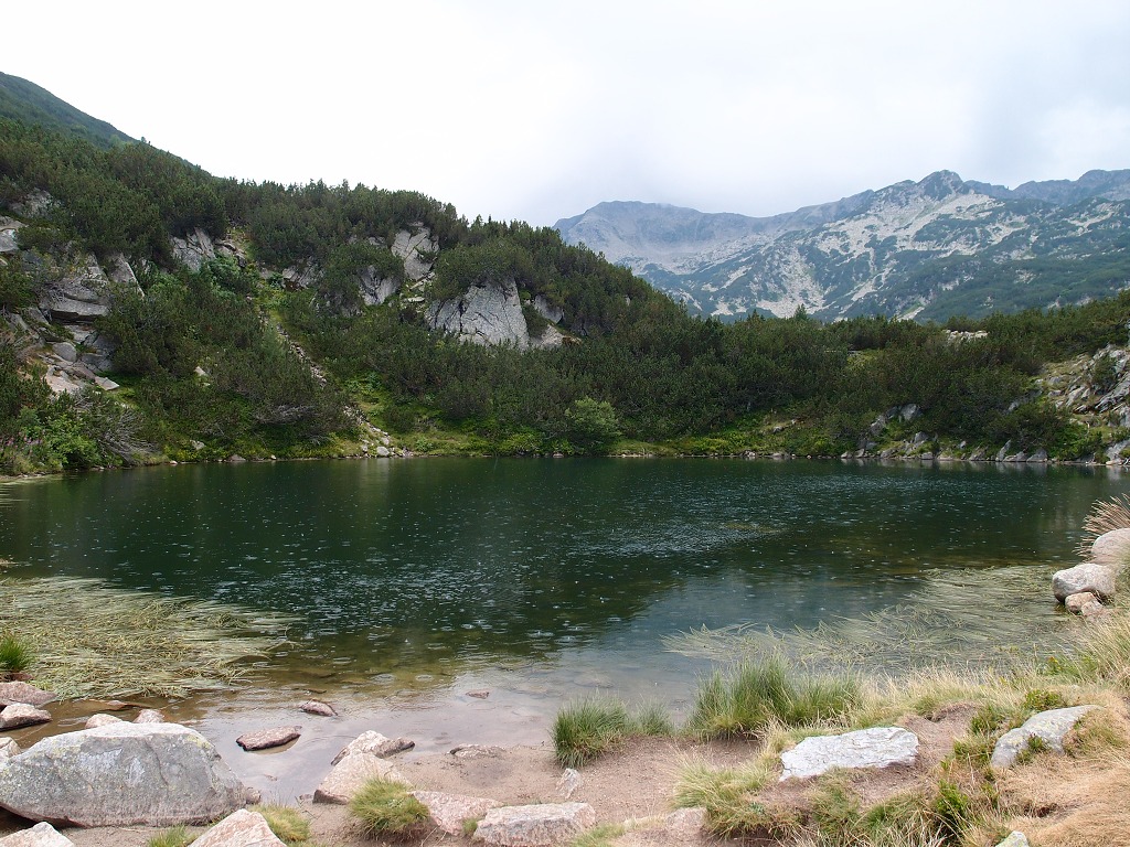 img00011.jpg