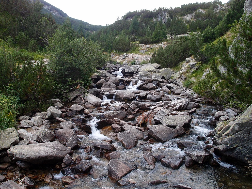 img00015.jpg