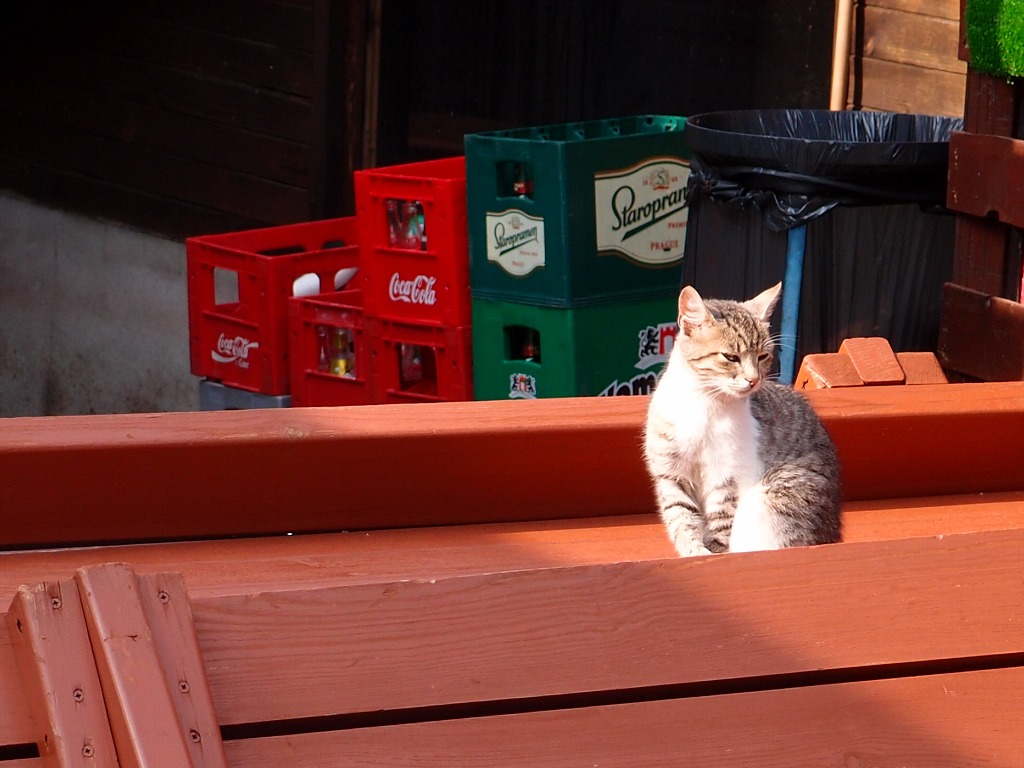 img00012.jpg