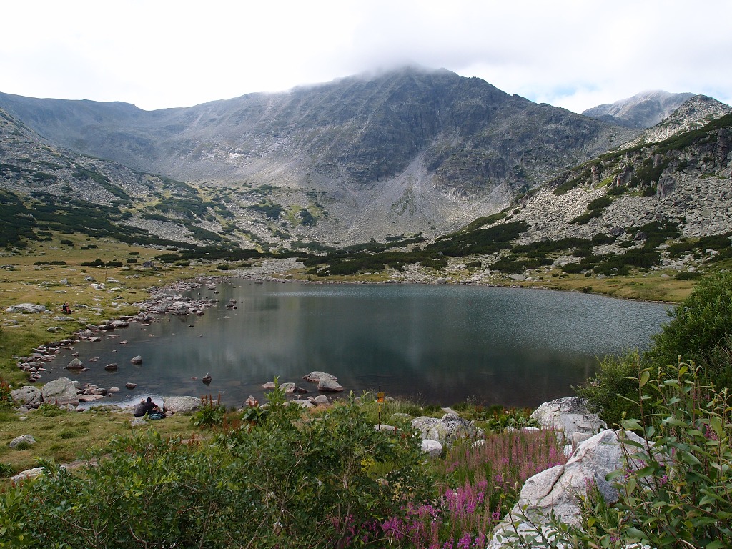 img00002.jpg