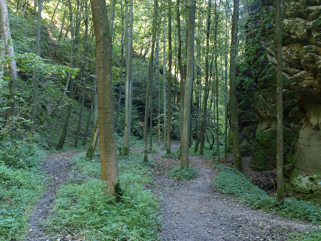 PA022666.jpg