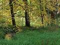 thn_PA022656.jpg