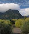 thn_Pucon10.jpg