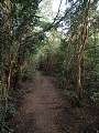 thn_Pucon13.jpg