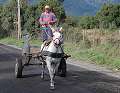 thn_Pucon9.jpg
