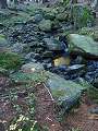 thn_PA222806.jpg
