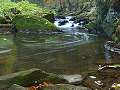thn_PA222816.jpg