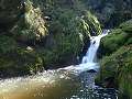 thn_PA222831.jpg