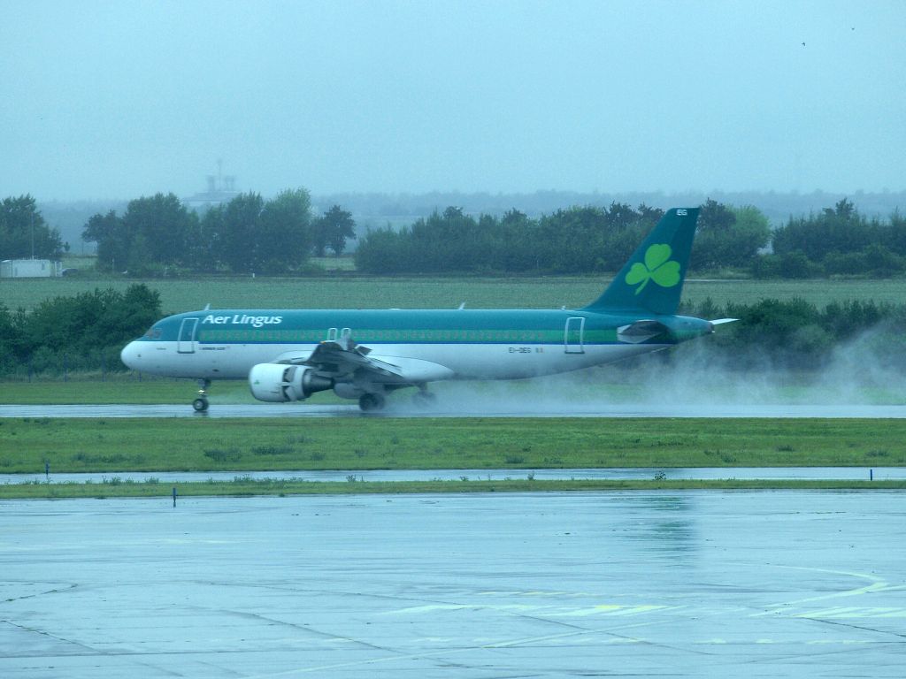 img00006.jpg
