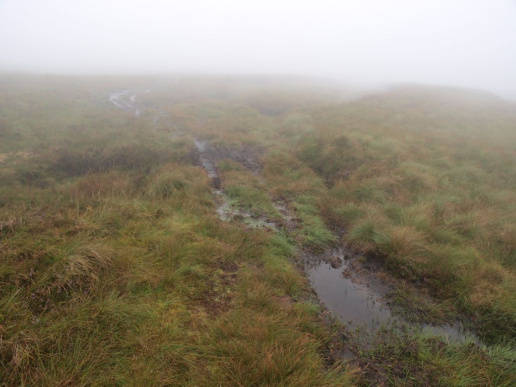img00004.jpg