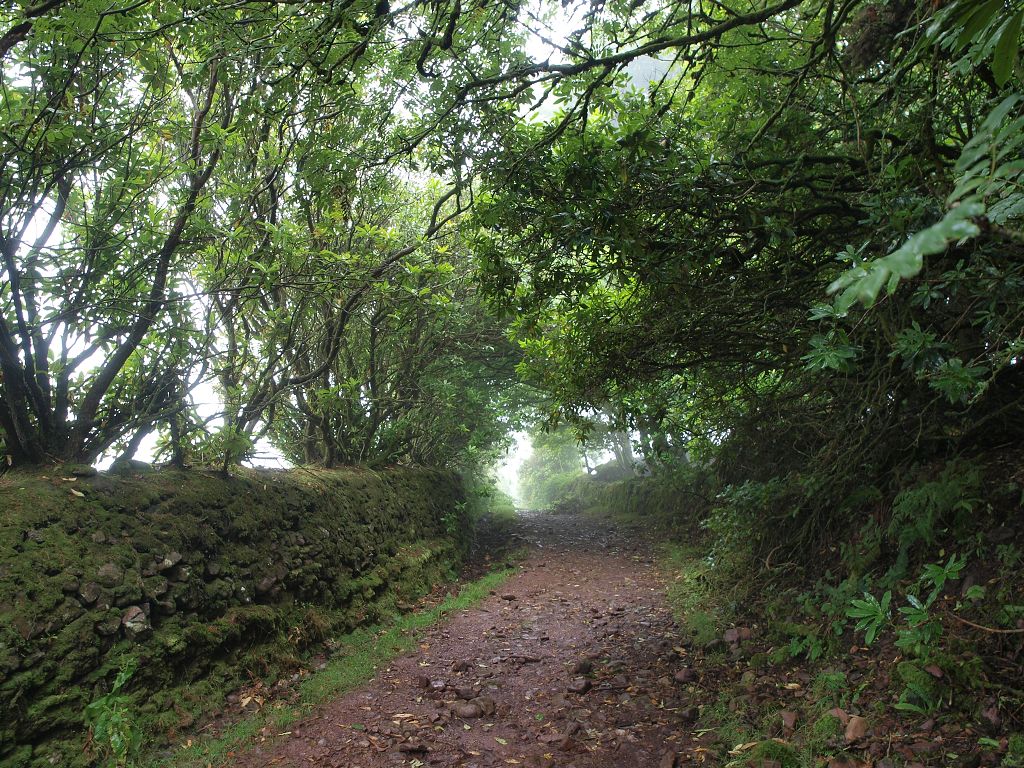 img00008.jpg