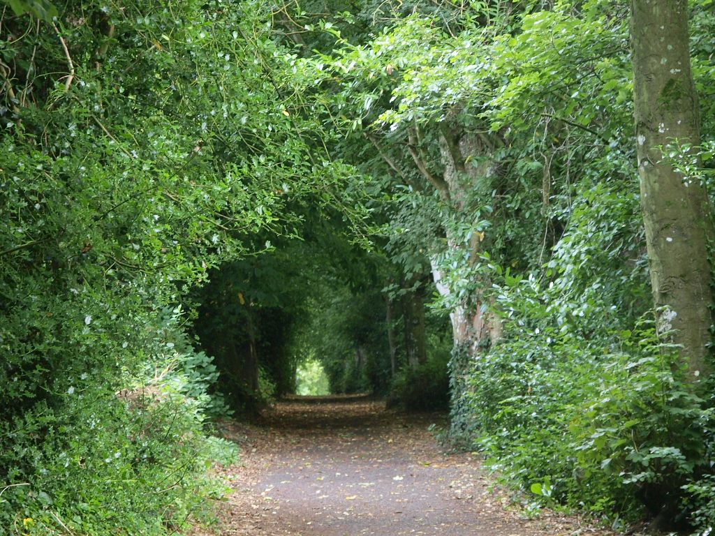 img00011.jpg