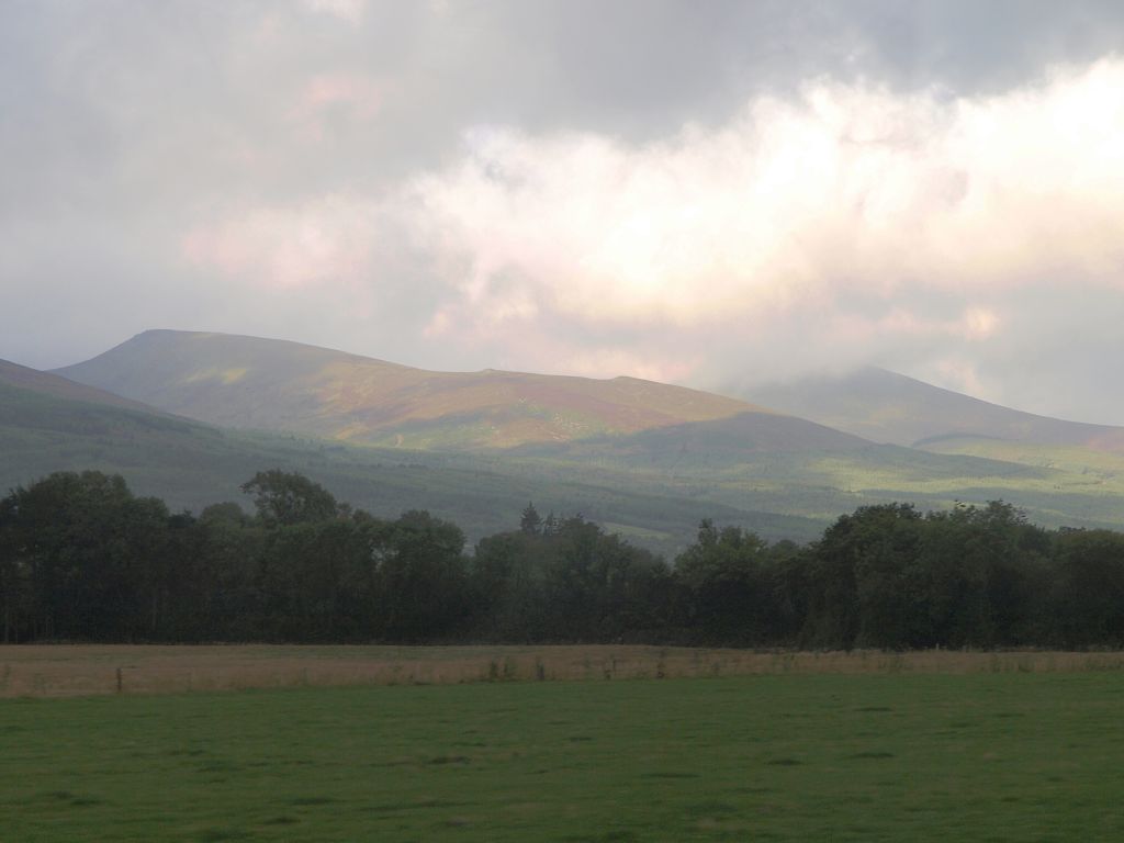 img00002.jpg