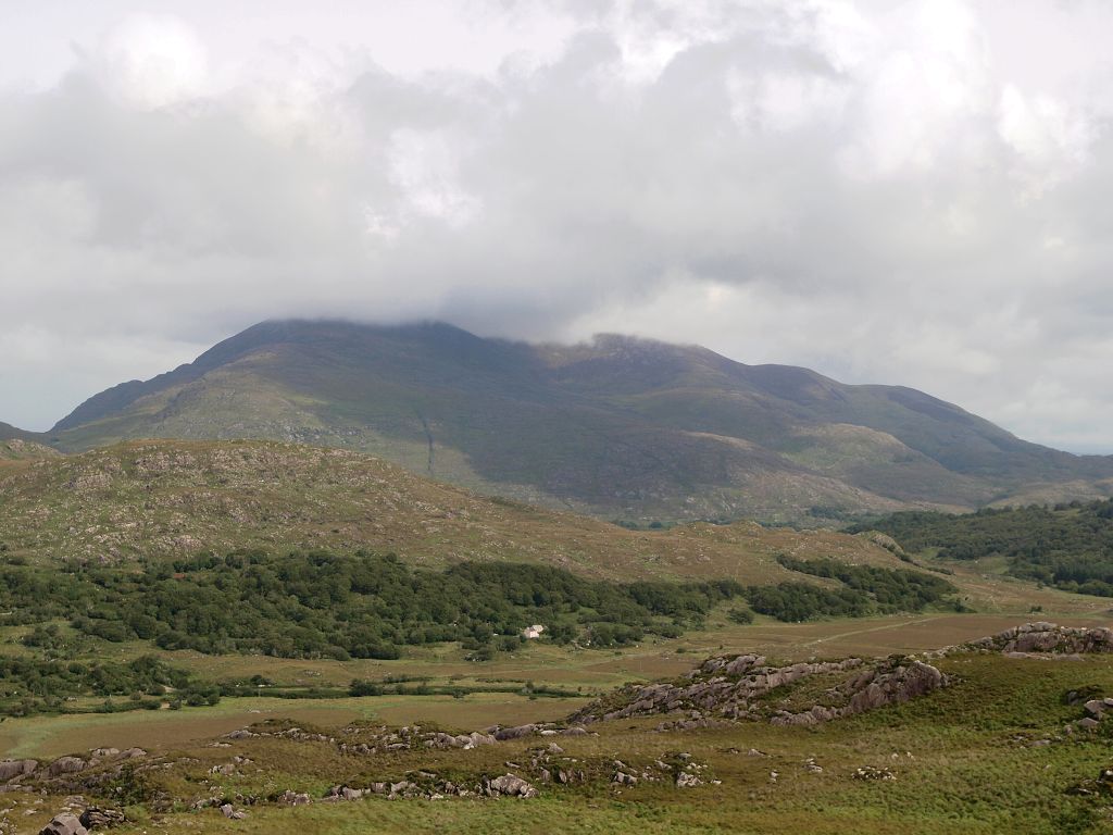img00005.jpg