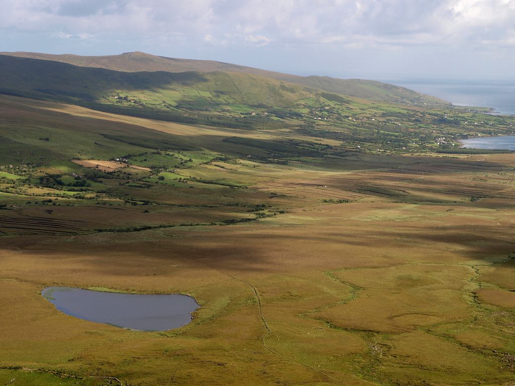 img00007.jpg