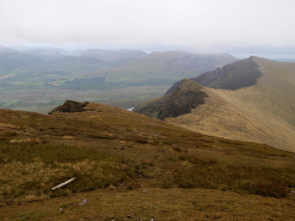 img00021.jpg