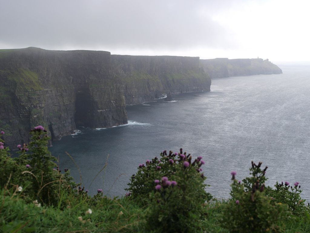img00011.jpg