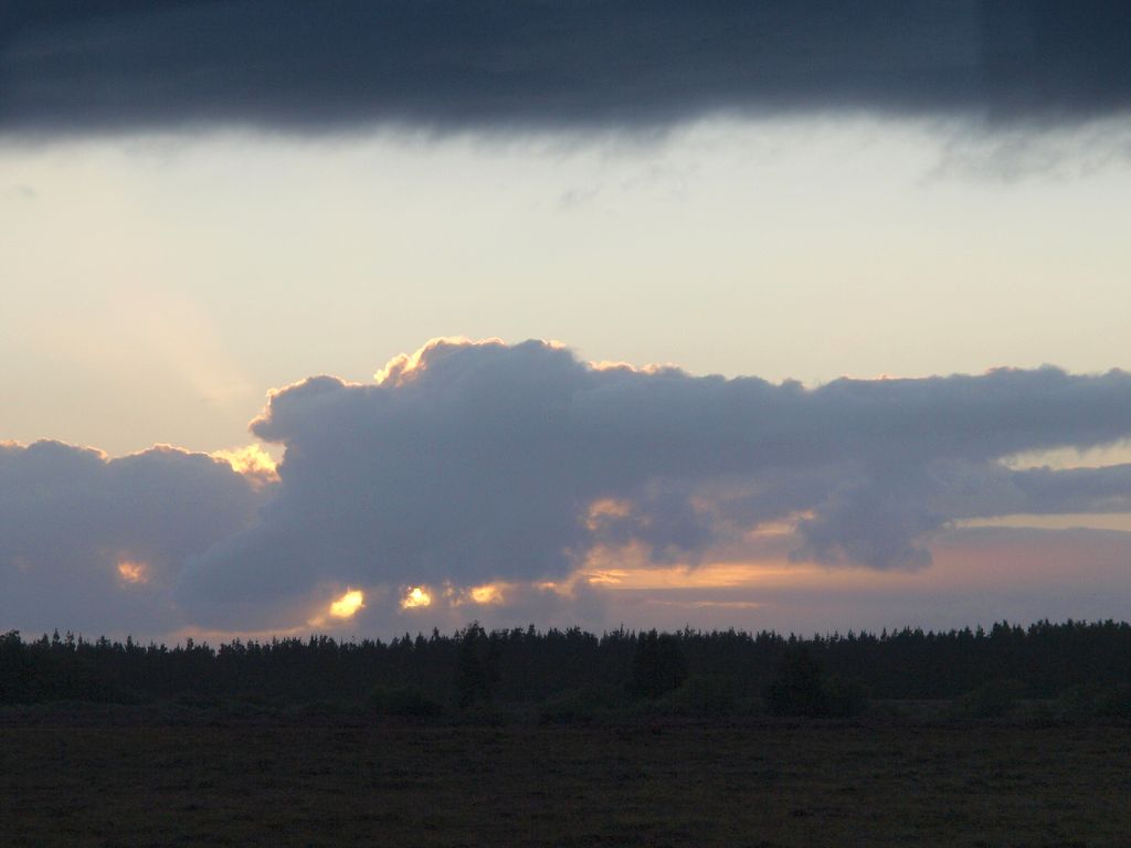 img00025.jpg