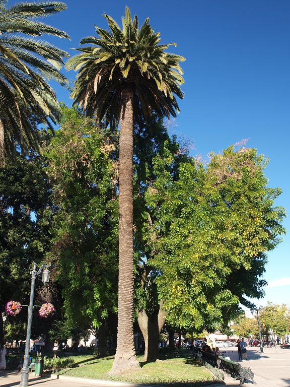 img00013.jpg