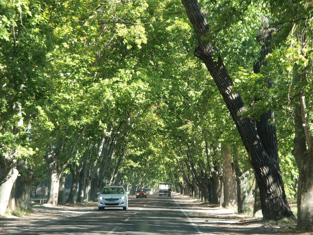 img00002.jpg