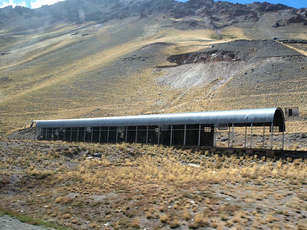 img00020.jpg