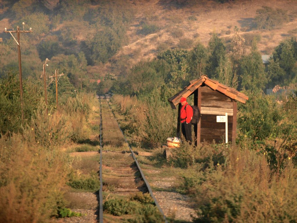 img00004.jpg
