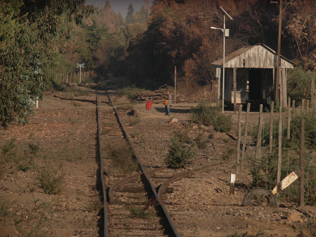 img00007.jpg
