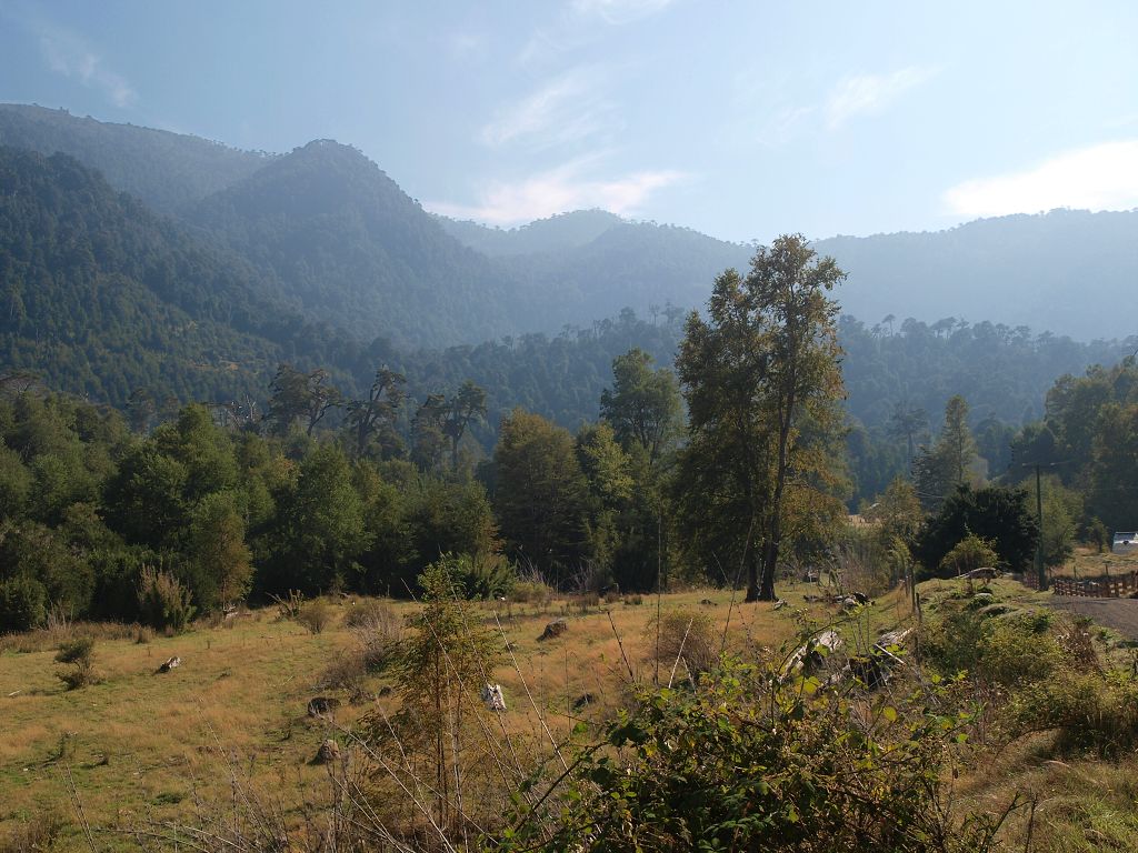 img00002.jpg