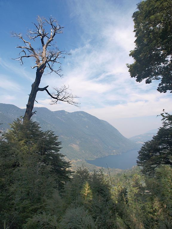 img00005.jpg