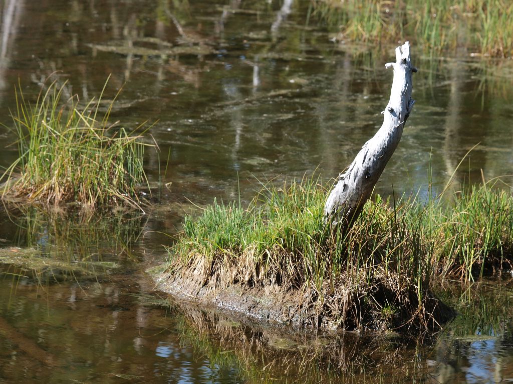 img00014.jpg