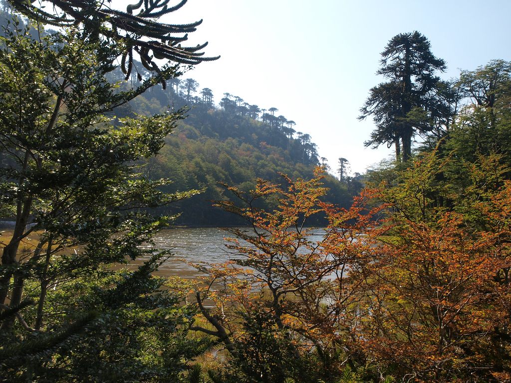 img00018.jpg